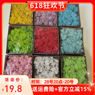 饰墙 无杂质永生苔藓整盒100克diy材料包植物墙仿真墙微景观装