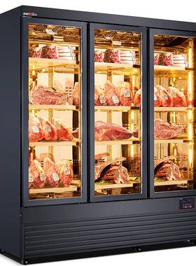 牛肉排酸柜干式商用肉类熟成展示柜单双门西餐厅自助火锅保湿保鲜