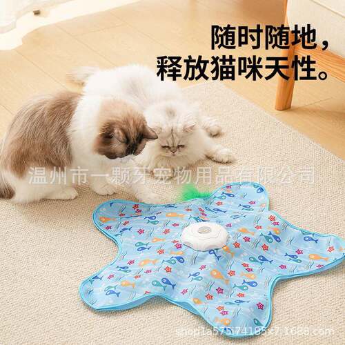Interactive Cat Toys for Indoor Rechargeable Cats Hide and