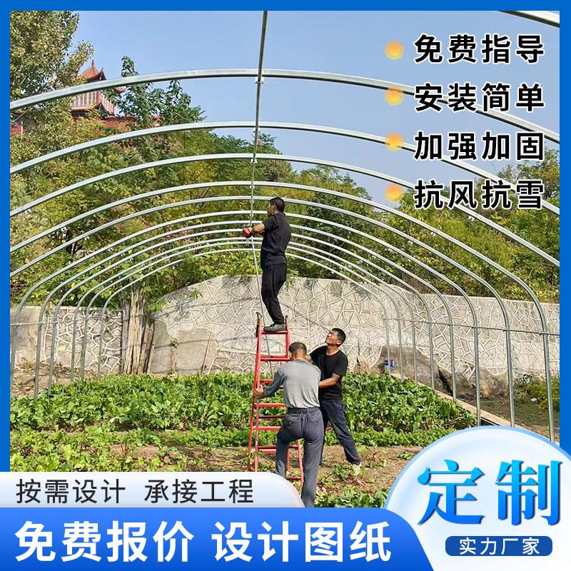 椭圆管养殖大棚养鸡大棚全套养猪牛羊大棚骨架钢管种植菌菇水产棚