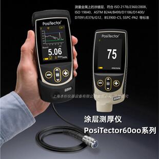 6mm 狄夫斯高DeFelsko6000FT3涂镀层测厚仪F型一体化探头0