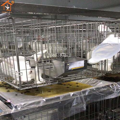 实验用兔笼实验用鸽笼实验用豚鼠笼实验用鸡笼豚鼠架