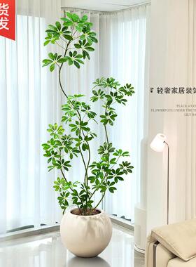 鸭脚真木彷az-247-绿色植物造室内大厅型景落地景观树客高级彷生