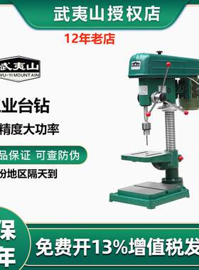 福州工大武夷山台钻钻床打孔机16mm佛珠加工转孔五档调速Z4116/2