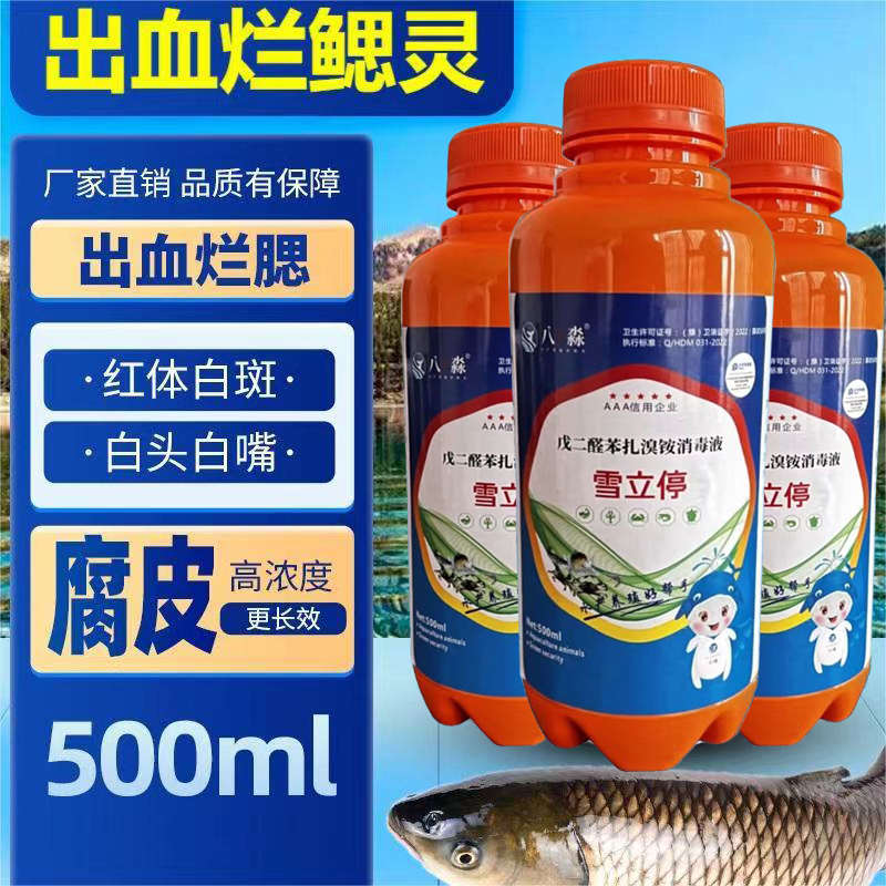 八淼雪立停水产养殖细菌性出血病烂鳃烂身烂尾白毛白斑杀菌消毒剂