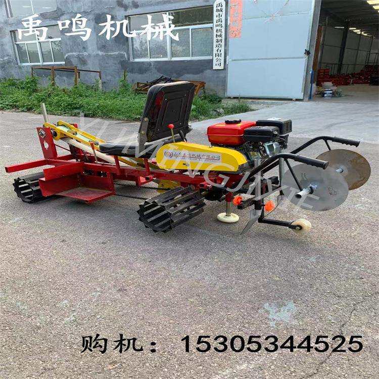 大姜播种机 生姜姜芽播种机姜母带芽种植滴灌覆土机 黄姜移栽机