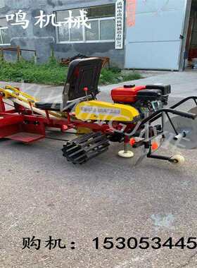 大姜种机生姜姜芽植播种机姜母带芽种滴小型灌覆土机移播黄姜栽机