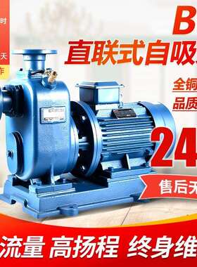 BZ直联自吸泵380v三相工业柴油机卧式离心泵管道泵农用大流量铸铁
