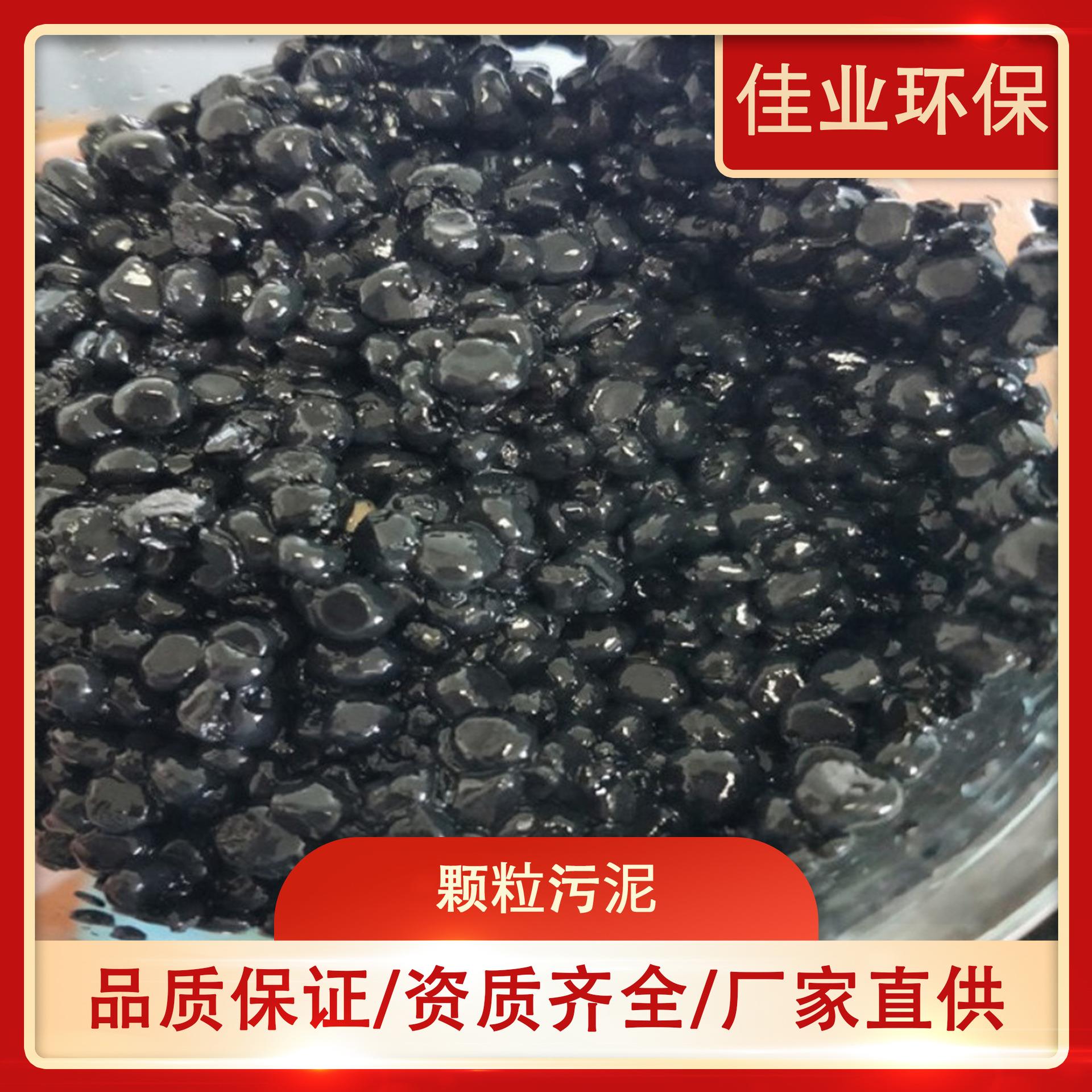 高难水厌氧专用菌种活性污泥菌种ABR反应器厌氧颗粒污泥