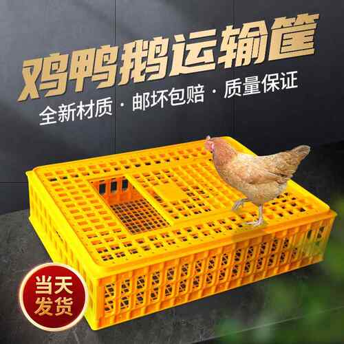 箱通达IVQ鸡塑料加鸡笼运输笼成鸡周转鸡鸭鹅兔笼鸽笼家用筐厚鸡
