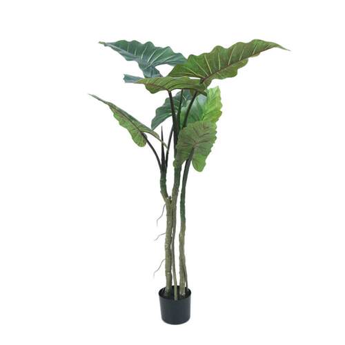 北欧风仿真植物彩虹芋人造彩虹树绿植盆栽家居酒店装饰春芋盆栽