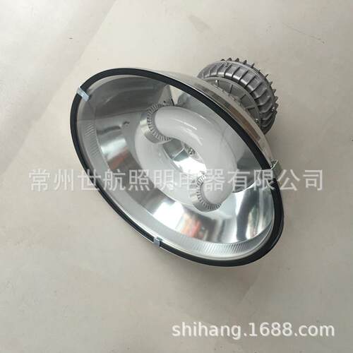 厂家镜面灯罩配装玻璃无极灯高频低频150瓦100瓦集装箱整柜