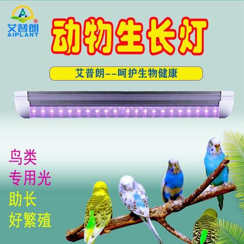 艾普朗牌全光谱动物生长灯宠物鸡鸟鹦鹉鸽子繁殖龟昆虫养殖补光灯