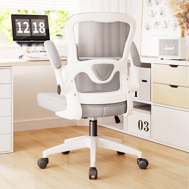 朗域人体工学椅电脑椅家用久坐舒适靠背学习电竞椅子书房办公座椅