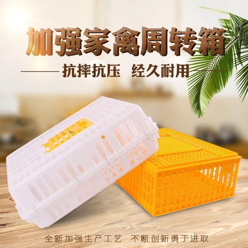 大号周转筐家禽大型运输笼养殖专用厂家鸡鸭鹅加厚塑料鸡笼