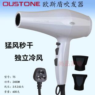 欧斯盾电吹风吹发器快干发廊家庭旅馆美发德力斯风筒静音冷风护发