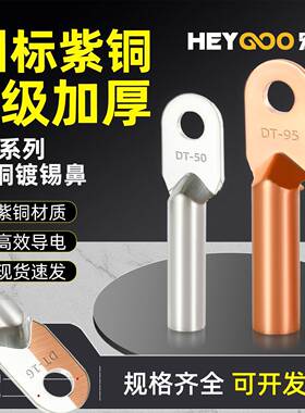 国标铜鼻子铜接头DT10/16/25/35/50/70平方接线端子堵油线耳鼻子