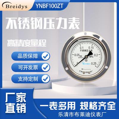 不锈钢压力表YNBF100ZT轴向带边耐震压力表0-1.6mpa气压水压液压
