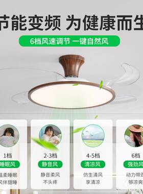 具卧室餐厅超薄电扇灯隐形风扇灯一体新款极简灯客厅吸顶吊扇