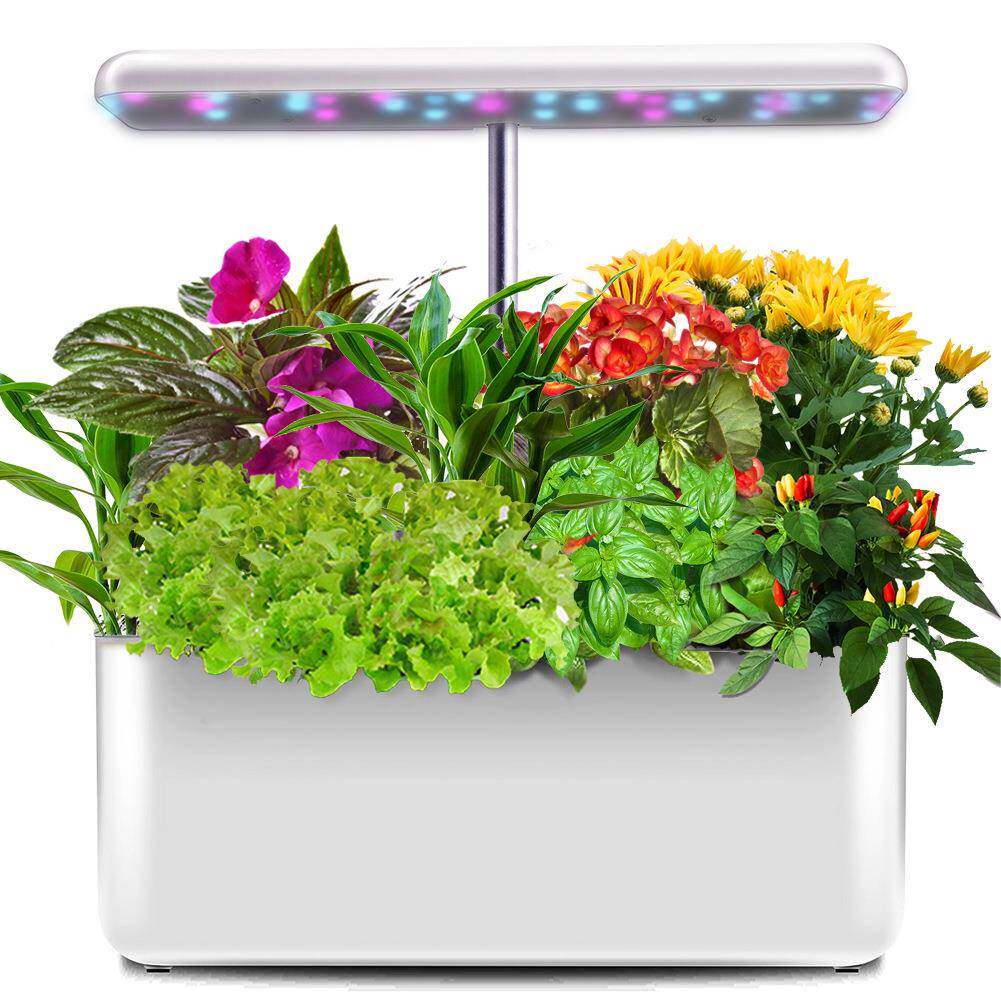 IGS-10跨境植物种植机智能水培机植物种菜机LED室内智能种植机