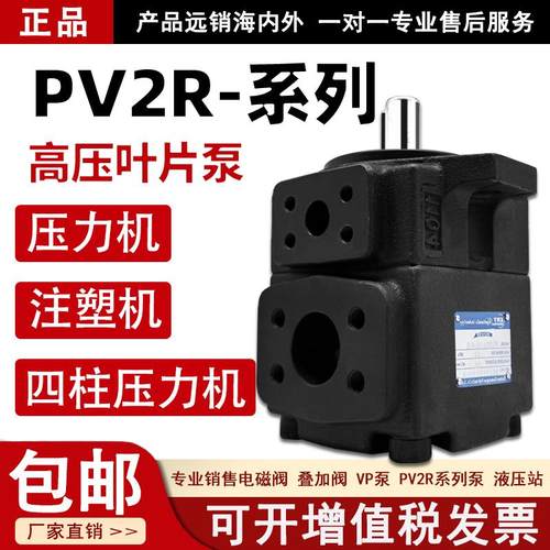 pv2r1高压叶片泵PV2R2定量液压帮浦总成pv2r3-r液压油泵压头配件