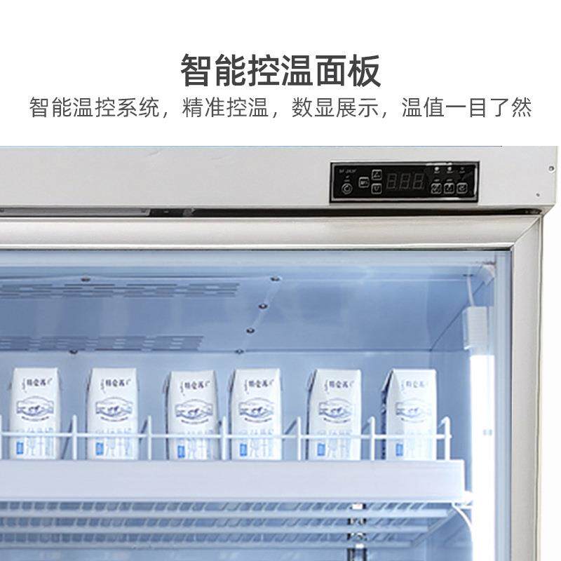 冰力鲜冷柜厂家直销促销款两门饮料展示柜商场小卖部士多饮料冰箱