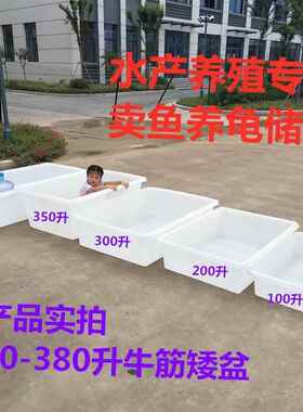 特大厚牛筋塑料方水桶龟长方形产养殖水箱加家用养鱼BTC养卖鱼盆