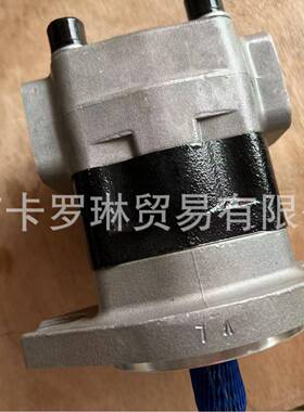 SGP1A25F2H9-L288CSGP1A25A2H9-R003C适用于轮挖液压齿轮泵