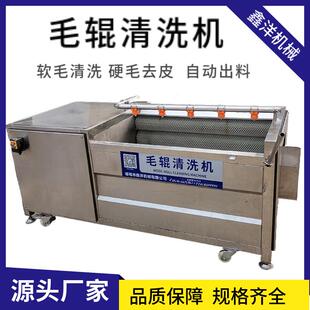 红薯山药毛辊清洗机土豆芋头马蹄莲去皮机海蛎子扇贝去泥清洗设备