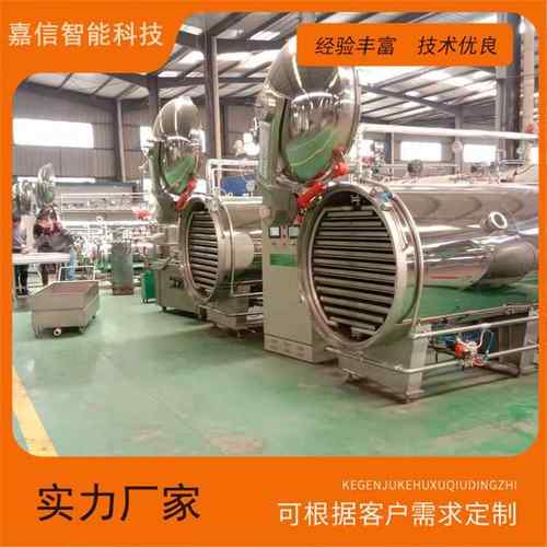 苹果脆片加工设备草莓脆片压差真空膨化设备桑葚枸杞膨化机