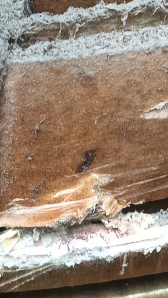 4月24日金华处置废旧稳压器1台，铜芯电线140米左右（义乌）打包处理网络拍卖公告