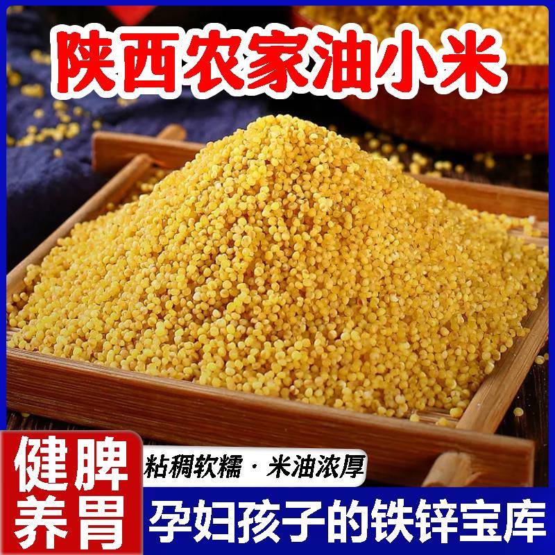 黄土小米羊粪种植米脂小米3/5斤陕北农家黄小米2024展新鲜油小米