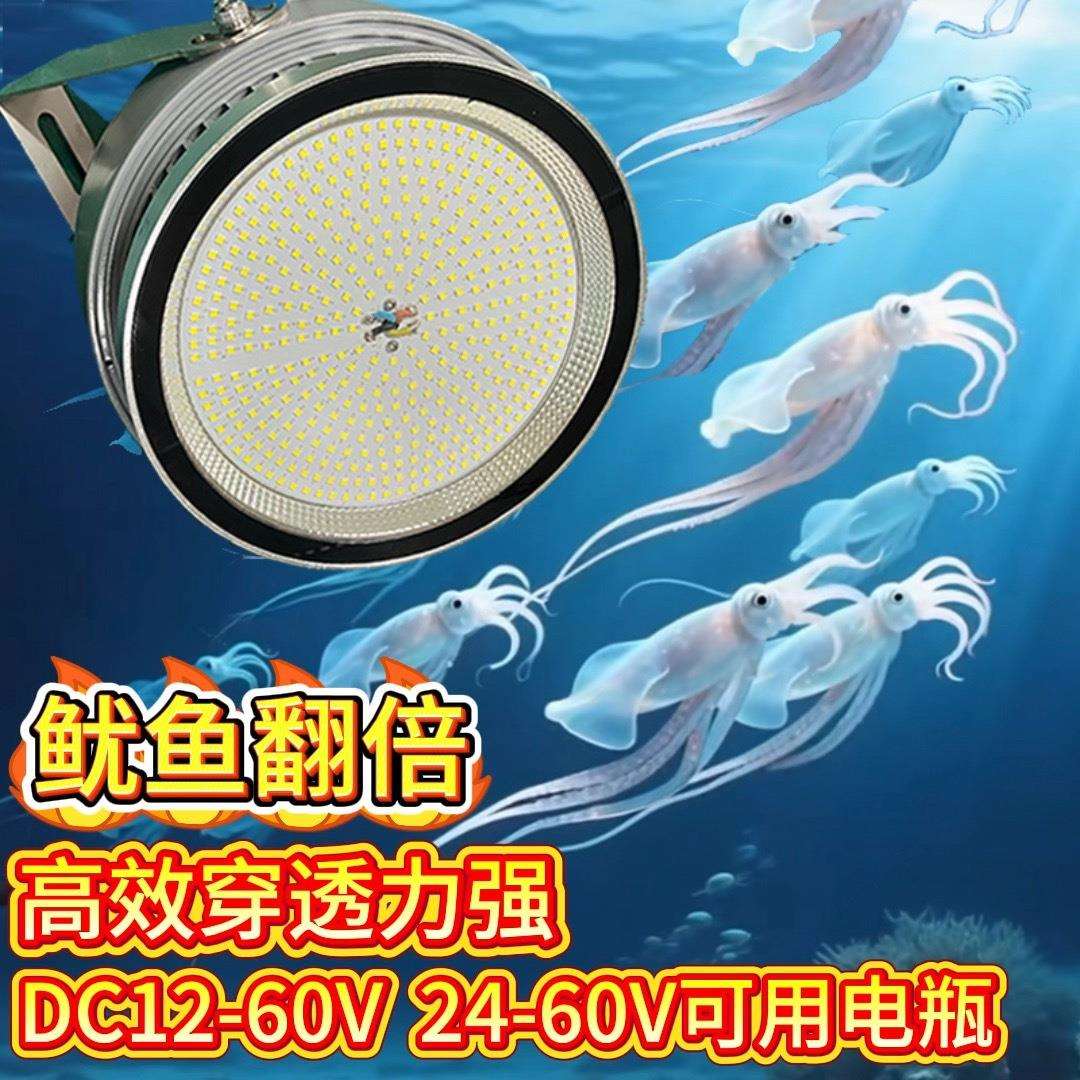 12V24VLED船用集鱼灯防水鱿鱼灯诱鱼灯聚鱼灯海钓筏钓灯可用电池