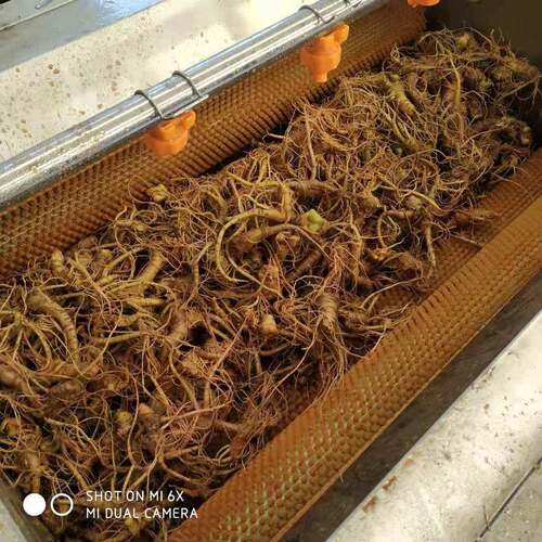大型去杂质清洗机不锈钢带鱼去麟机海鲜类清洗机现货试机