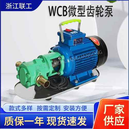 WCB便携式手提泵防爆齿轮油泵汽柴油卸车泵机油循环供油泵