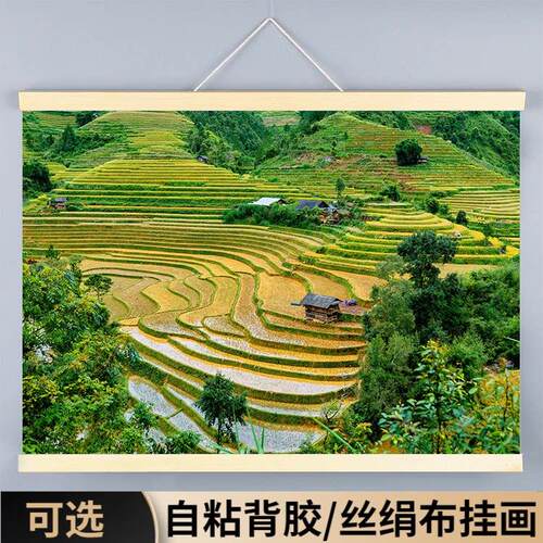 梯田稻田山村风景装饰挂画农家田园山庄餐厅农村中堂壁画海报稻穗