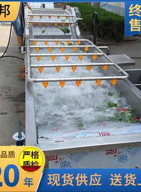 商用水果蔬菜清洗线 工业大型全自动食堂气泡洗菜机 洗蔬菜机器