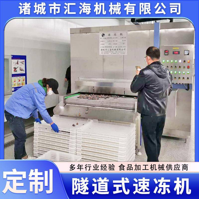 黄桃毛桃速冻机全自动隧道式速冻机设备供应黄瓜蔬菜速冻机