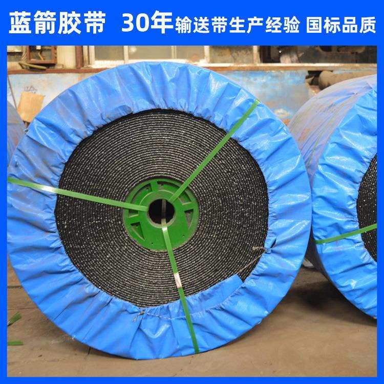 河北680s-1600s整芯阻燃输送带四级-九级PVC/PVG阻燃带