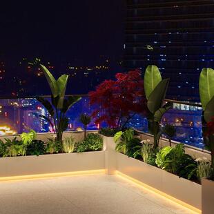 槽户外651庭院花园布置造景阳台花台箱组合露光感花店绿植面花箱
