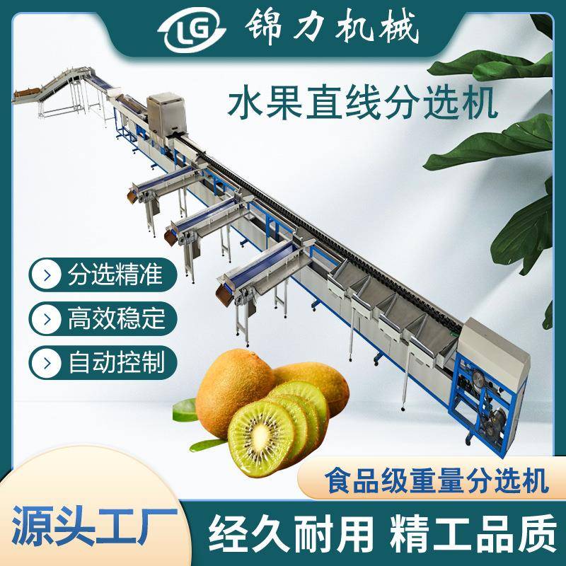 翠香猕猴桃智能分拣徐香猕猴桃等级分选脐橙砂糖桔规格分拣