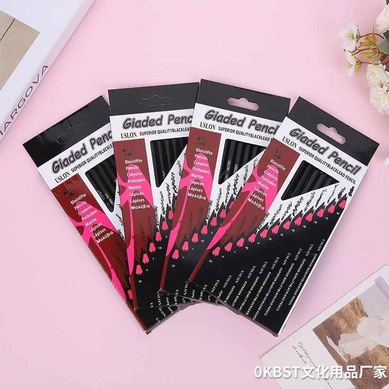 专业素描笔套装卡通文具套装12支盒装2H-8B素描绘图绘画美术铅笔