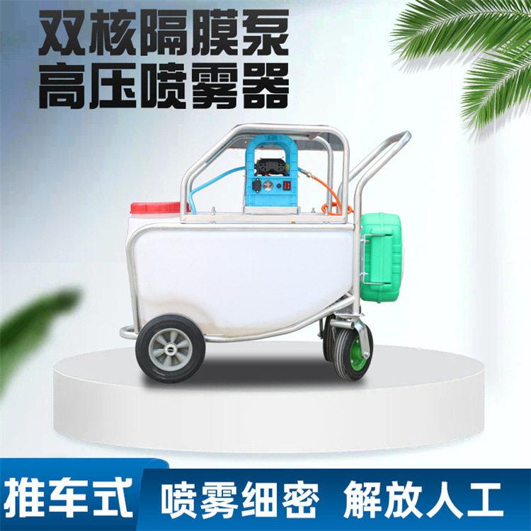推车式电动打机大棚除虫拉管式喷车养殖厂消毒灭菌喷雾器
