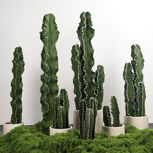 北欧风带毛刺戟阁仙人柱盆栽仿真仙人掌造景绿植热带沙生植物装饰