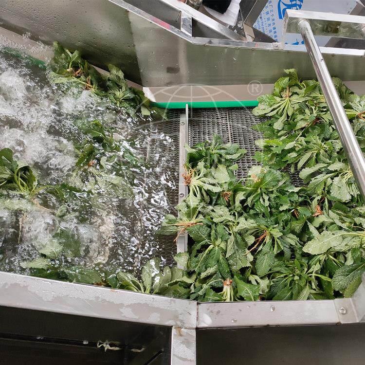 荠菜气泡清洗机 鼓泡喷淋洗菜机器 净菜清洗加工设备