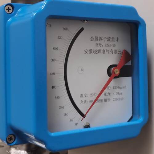 LZZH-25金属管浮子流量计指针显示