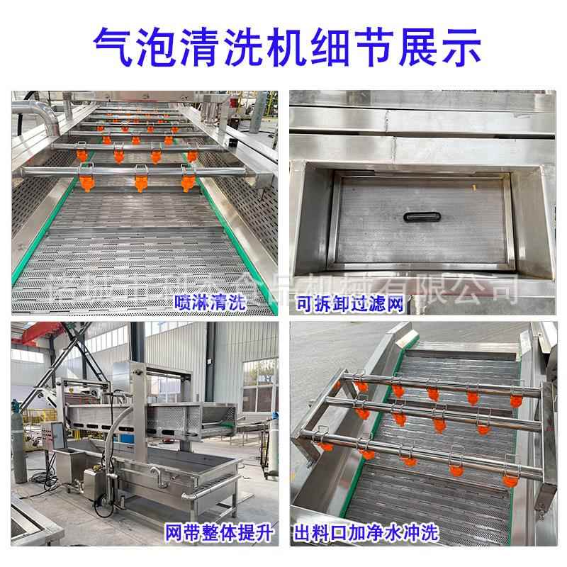 全自动小龙虾清洗 大式MUS清枣气泡洗机设备 网带豌豆清洗机厂机