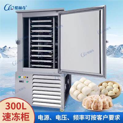 *厂家直销定制机海参海鲜速冻冻水商用CYLD-300厨房饺虾饺包子速