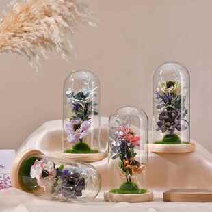 直销新款创意桌面摆件透明玻璃罩小夜灯 干花防尘罩发光微景观家
