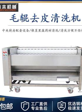 全自动果蔬土豆毛辊清洗机芋头去皮机葛根海螺去泥毛刷清洗去皮机